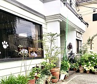 店舗紹介